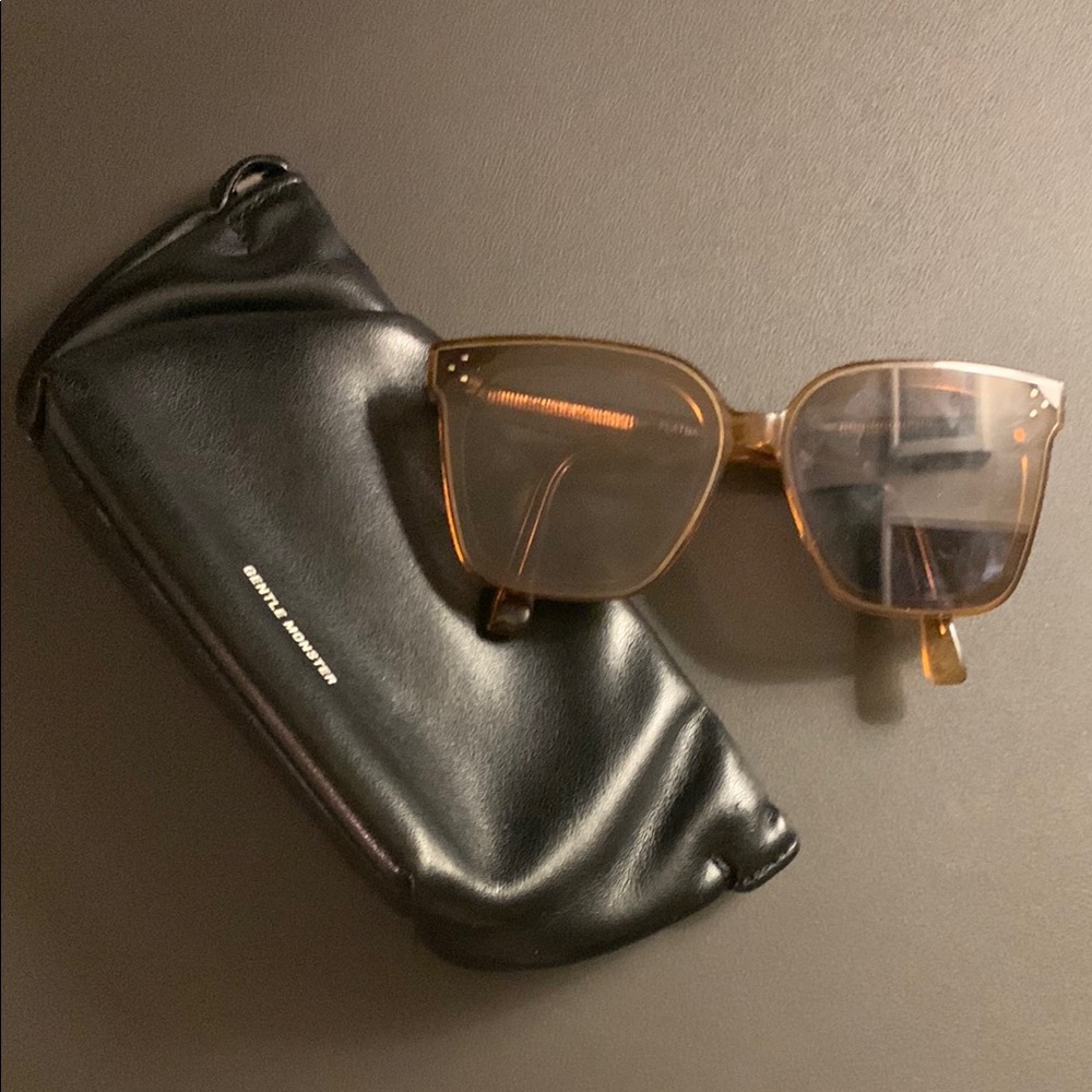 GENTLE MONSTER Brown Sunglasses with Black Case